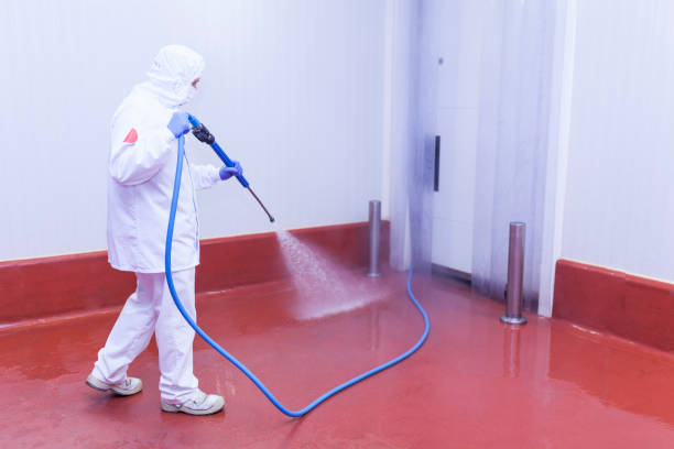 Best Pre-Holiday Cleaning  in Cushing, OK